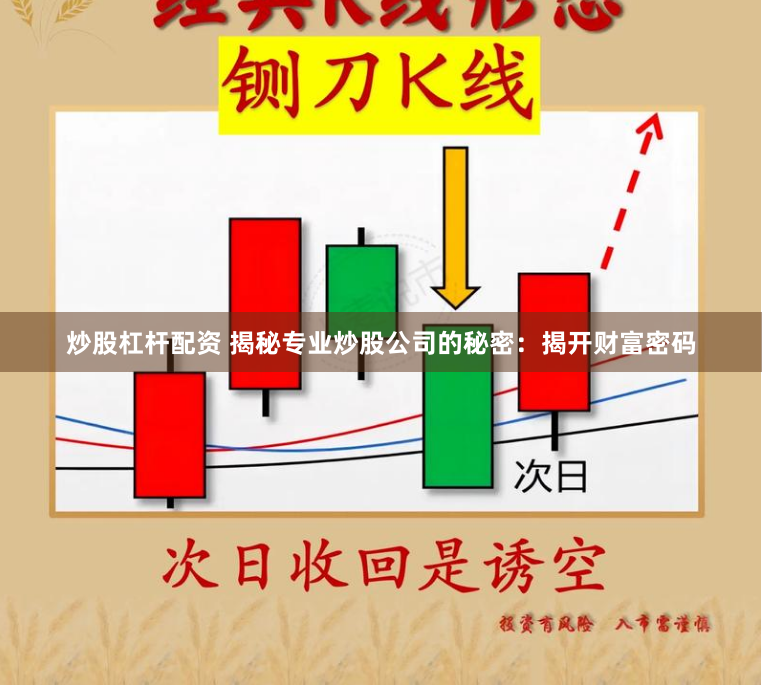 炒股杠杆配资 揭秘专业炒股公司的秘密：揭开财富密码