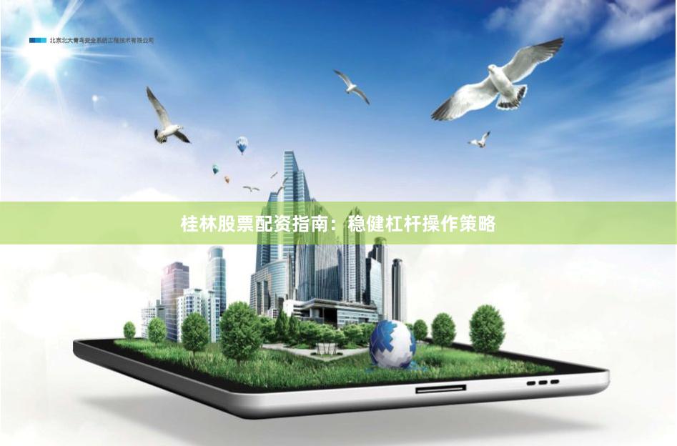 桂林股票配资指南：稳健杠杆操作策略