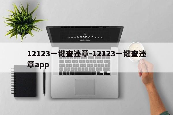 12123一键查违章-12123一键查违章app