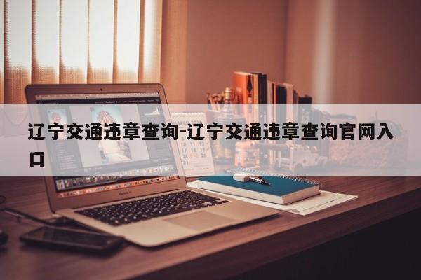 辽宁交通违章查询-辽宁交通违章查询官网入口