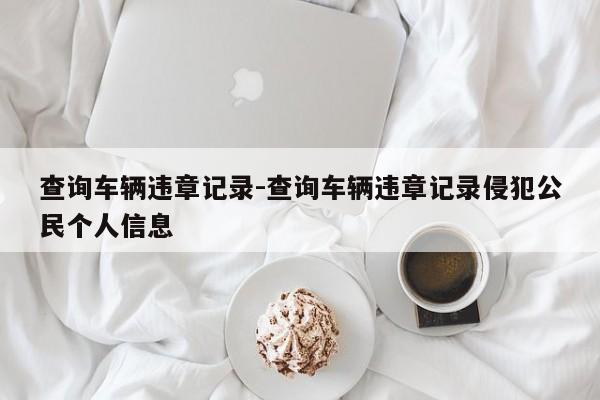 查询车辆违章记录-查询车辆违章记录侵犯公民个人信息