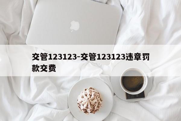 交管123123-交管123123违章罚款交费