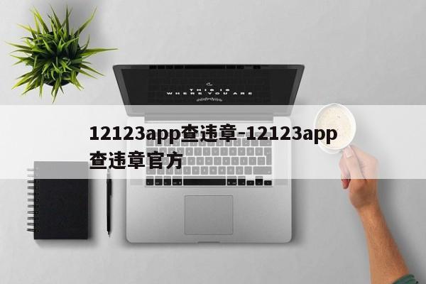 12123app查违章-12123app查违章官方