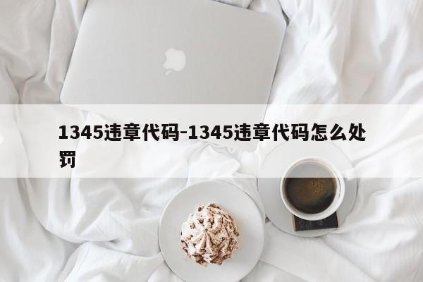 1345违章代码-1345违章代码怎么处罚