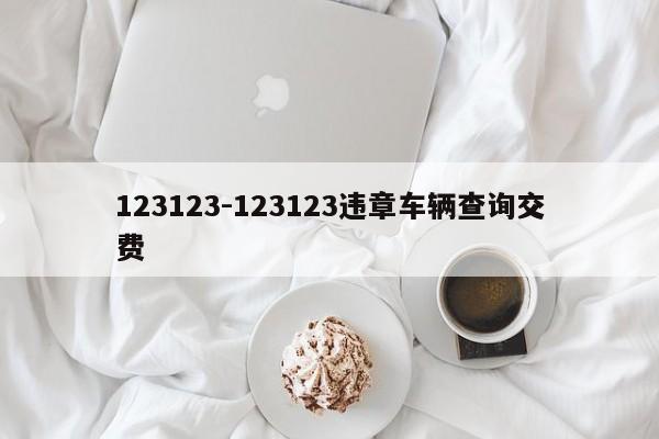 123123-123123违章车辆查询交费