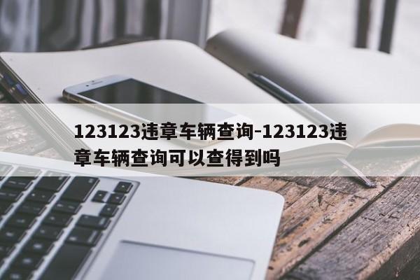 123123违章车辆查询-123123违章车辆查询可以查得到吗