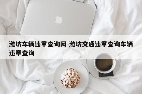 潍坊车辆违章查询网-潍坊交通违章查询车辆违章查询