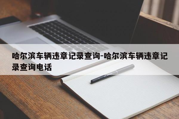 哈尔滨车辆违章记录查询-哈尔滨车辆违章记录查询电话