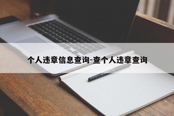 个人违章信息查询-查个人违章查询