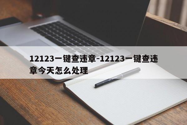 12123一键查违章-12123一键查违章今天怎么处理