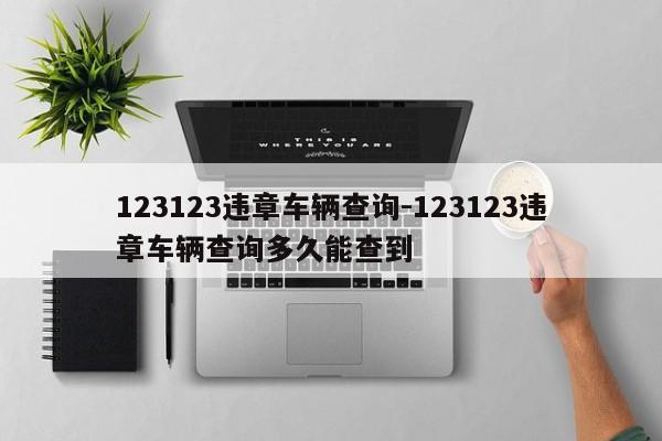 123123违章车辆查询-123123违章车辆查询多久能查到