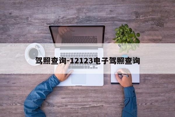 驾照查询-12123电子驾照查询